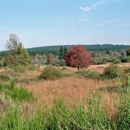 Apartament Zum Alten Landrat