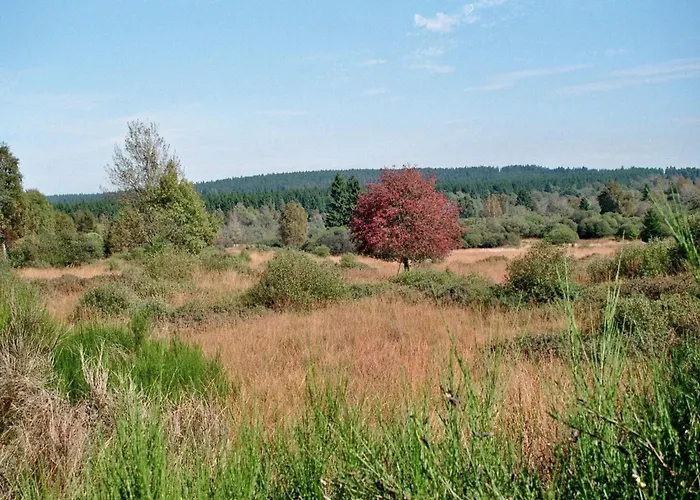 Apartamento Zum Alten Landrat