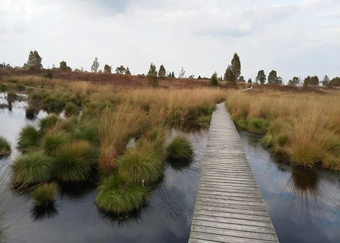 Zum Alten Landrat Μονσάου